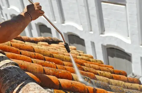 Démoussage de toiture à Carbon-Blanc